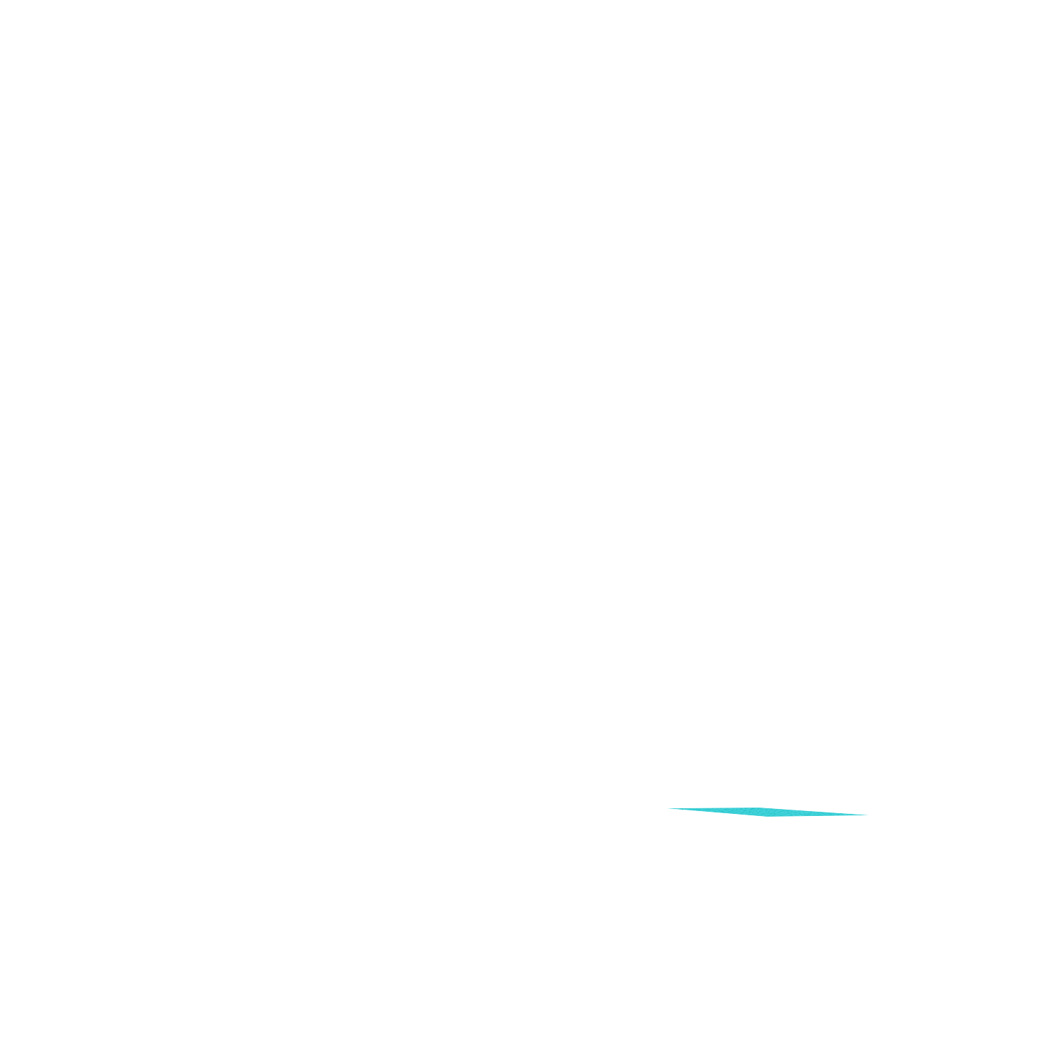 Product image 110