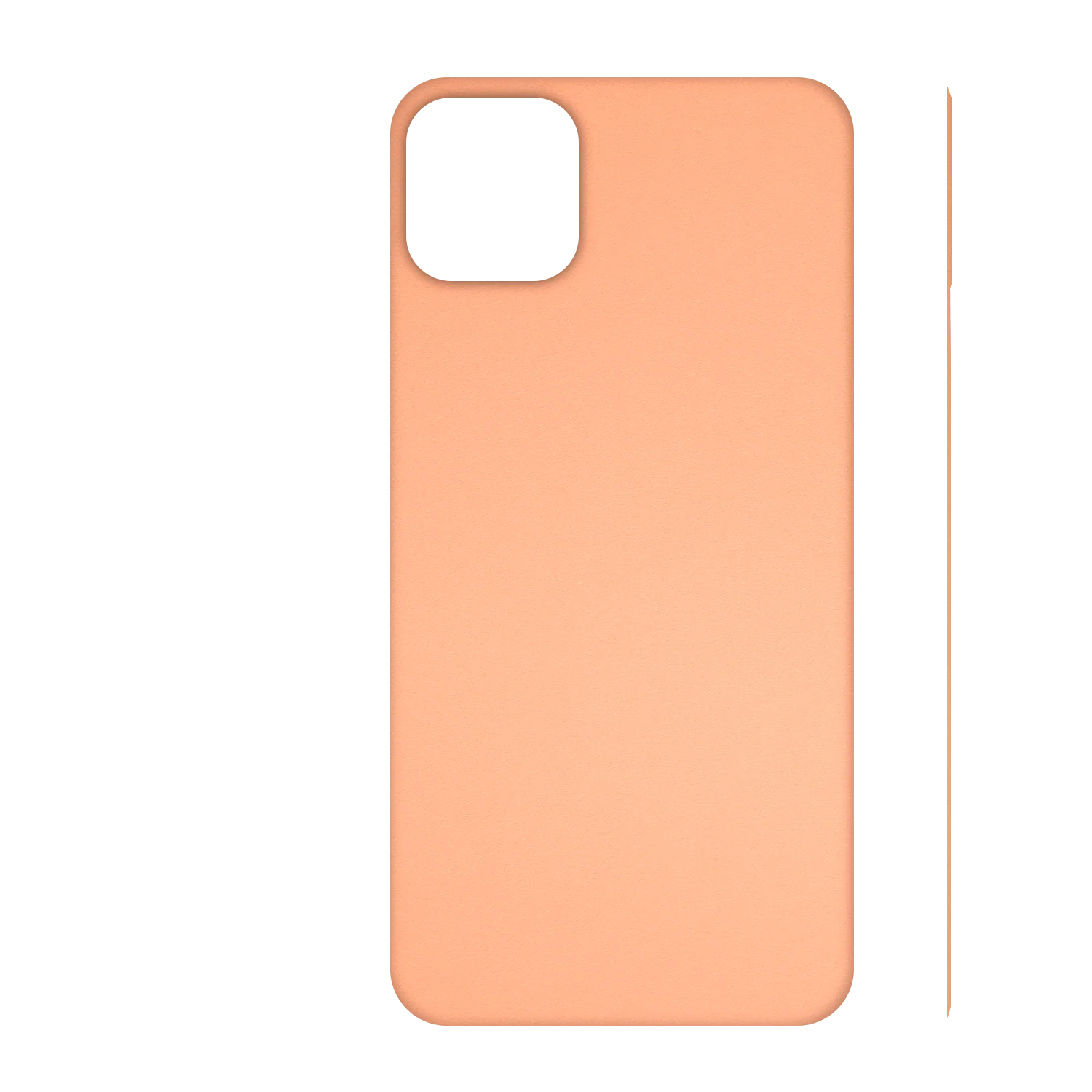 Product image 101