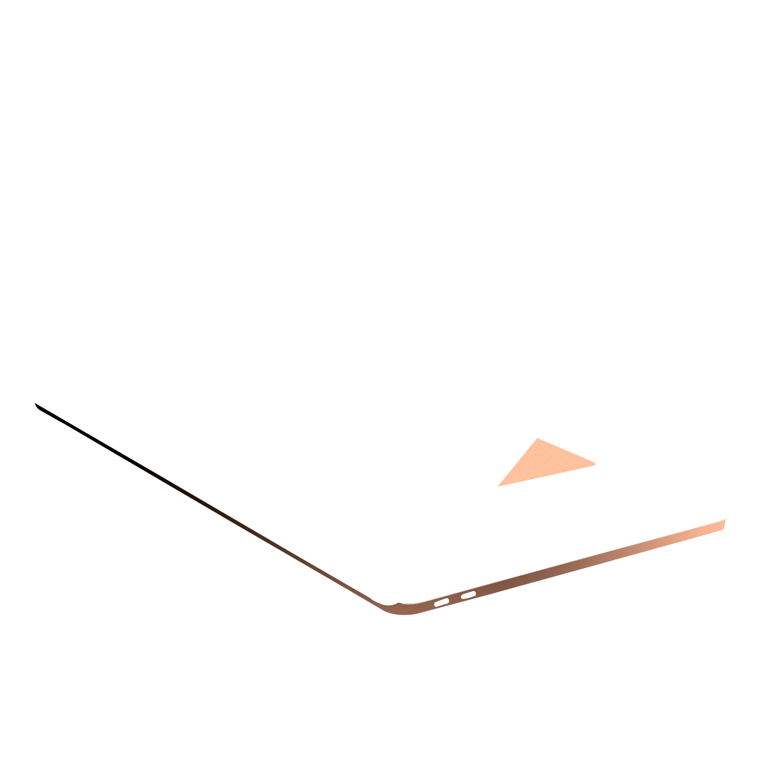 Product image 100