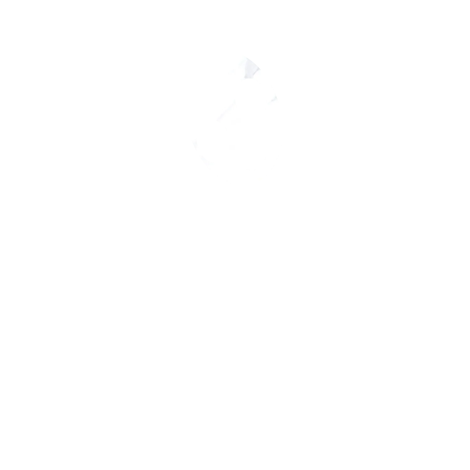 Product image 119