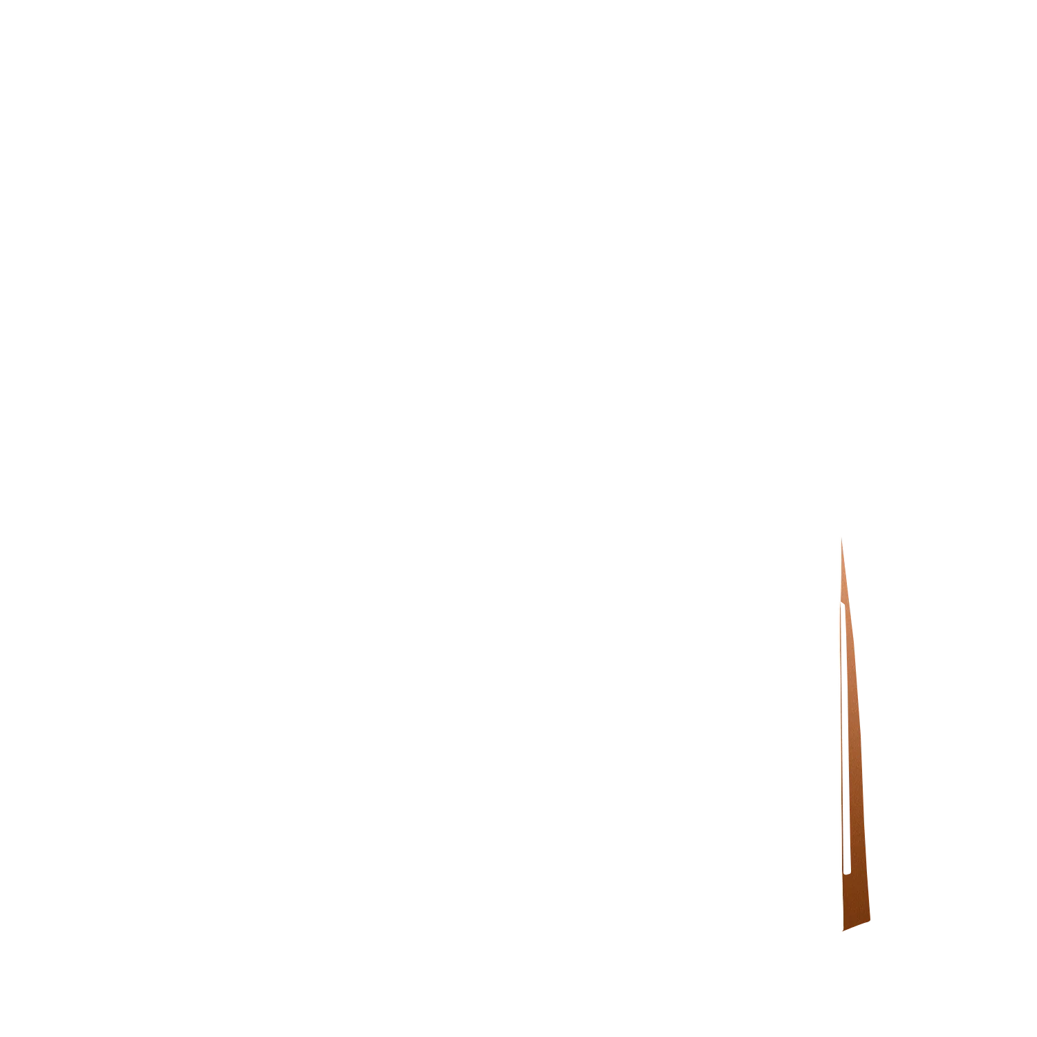 Product image 110