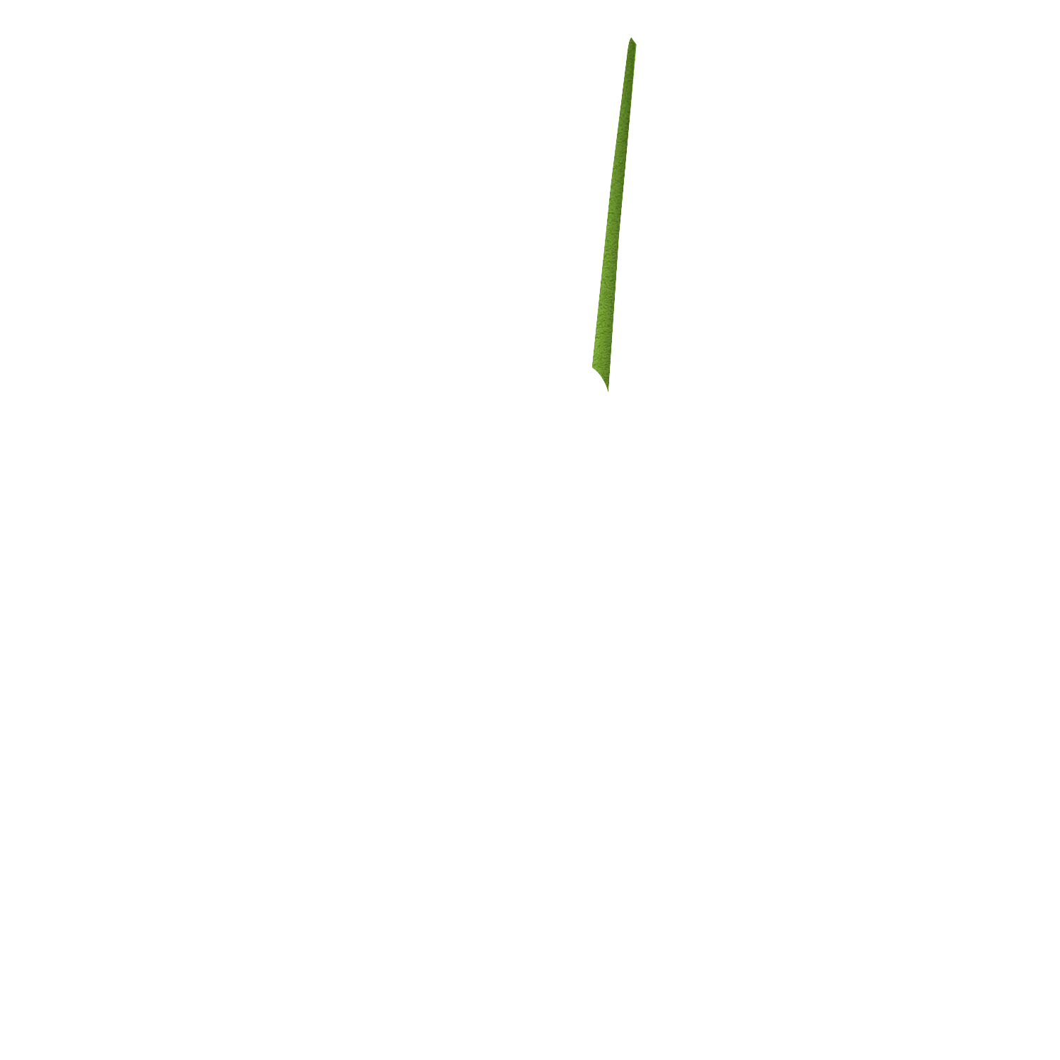 Product image 206